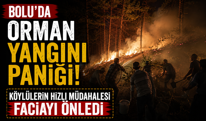 Bolu'da orman yangını paniği: Köylülerin hızlı müdahalesi faciayı önledi