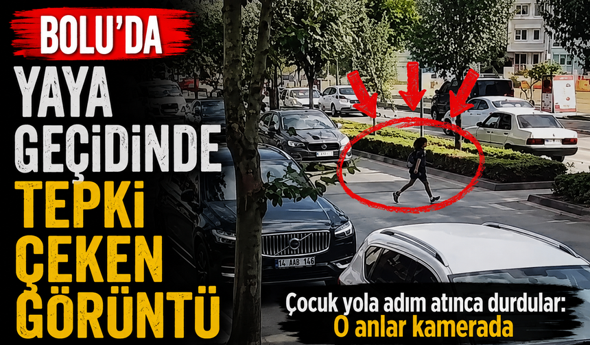 Bolu’da yaya geçidinde tepki çeken görüntü