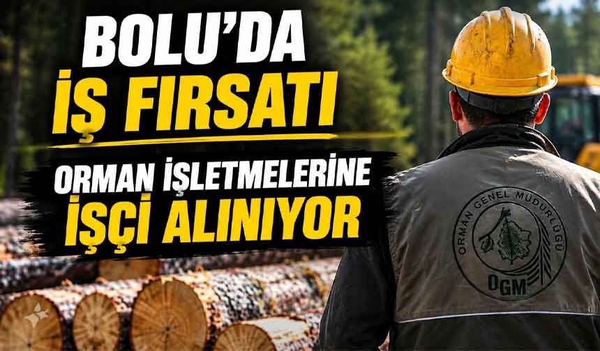Bolu'da ormana işçi alınacak
