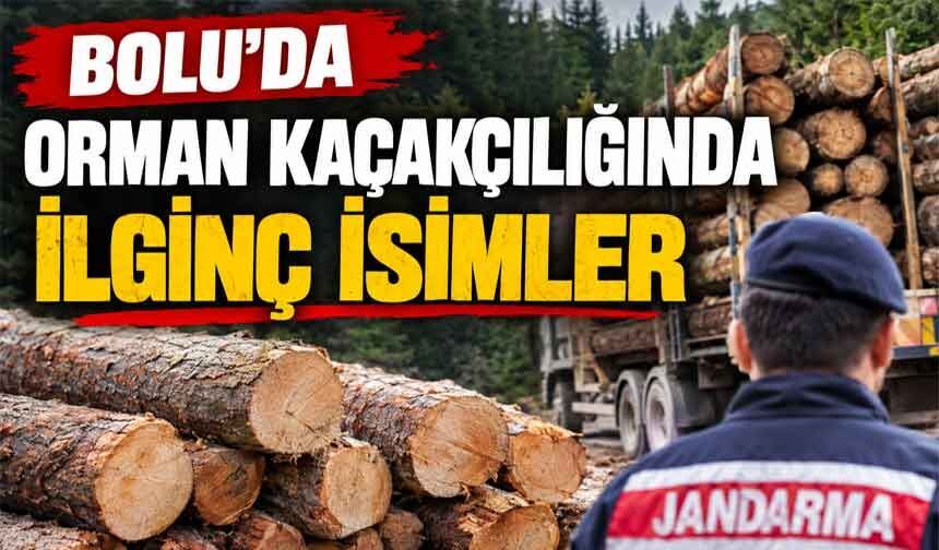 Bolu'da, orman kaçakçılığında ilginç isimler