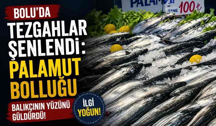 Bolu’da Tezgâhlar Şenlendi: Palamut Bolluğu Balıkçının Yüzünü Güldürdü!