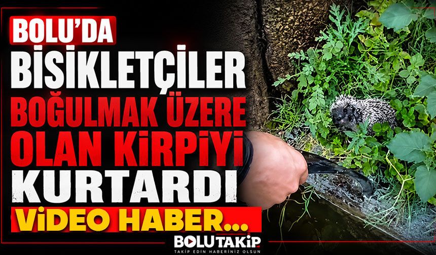 Bolu'da bisikletçiler boğulmak üzere olan kirpiyi kurtardı