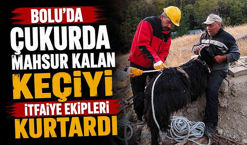 Bolu’da çukurda mahsur kalan keçiyi itfaiye ekipleri kurtardı