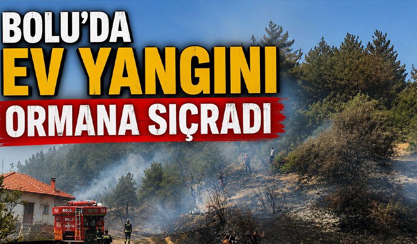 Bolu’da ev yangını ormana sıçradı