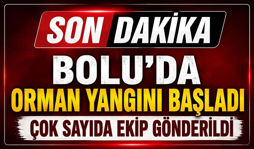 BOLU'DA ORMAN YANGINI BAŞLADI