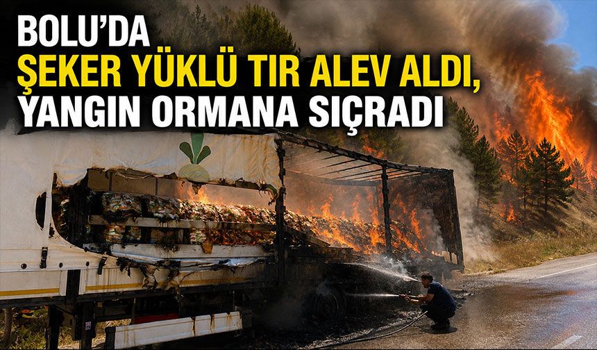 Bolu’da şeker yüklü tır alev aldı, yangın ormana sıçradı
