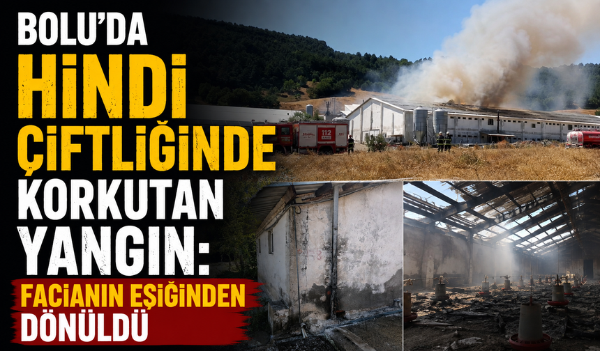 Bolu'da hindi çiftliğinde korkutan yangın: Facianın eşiğinden dönüldü