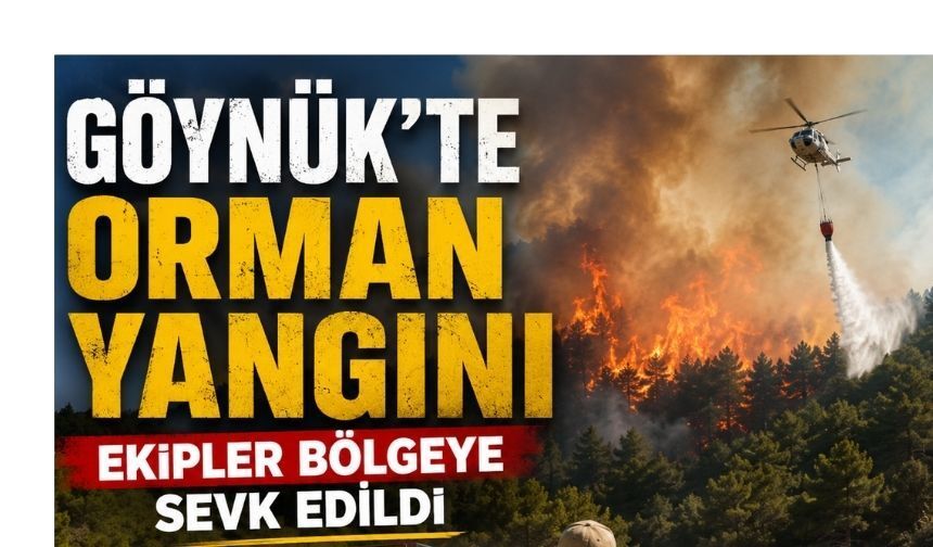 GÖYNÜK’TE ORMAN YANGINI