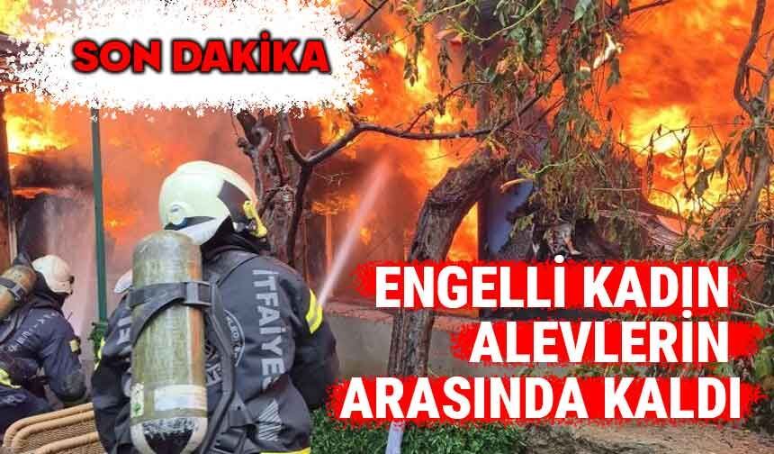 Alev alev yanan evde engelli kadının hayat mücadelesi