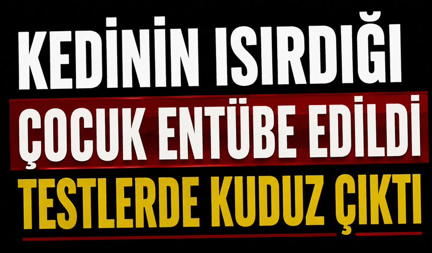 Kedinin ısırdığı çocuk entübe edildi, testlerde kuduz çıktı
