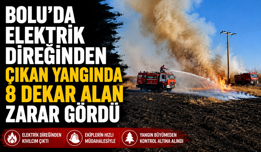 Bolu'da elektrik direğinden çıkan yangında 8 dekar alan zarar gördü