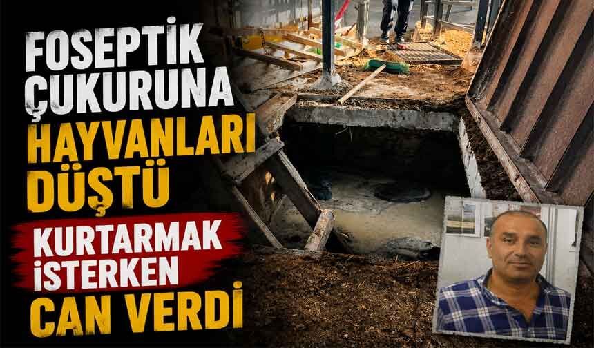 Hayvanlarının düştüğü çukurda can verdi