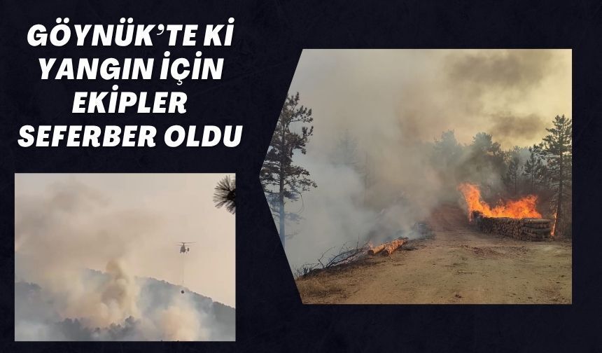 GÖYNÜK’TE Kİ YANGIN İÇİN EKİPLER SEFERBER OLDU