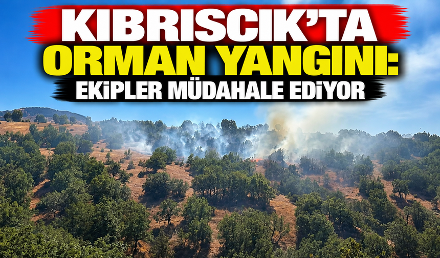 Kıbrıscık’ta Orman Yangını: Ekipler Müdahale Ediyor