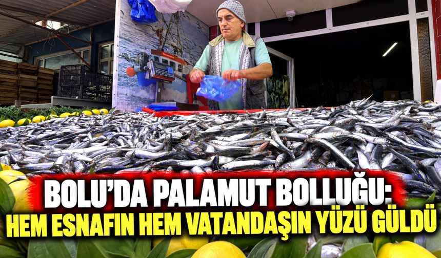 Bolu’da Palamut Bolluğu: Hem Esnafın Hem Vatandaşın Yüzü Güldü
