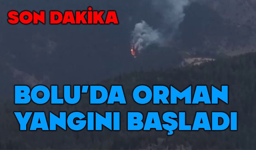 Kıbrıscık’ta orman yangını: Ekipler bölgeye sevk edildi