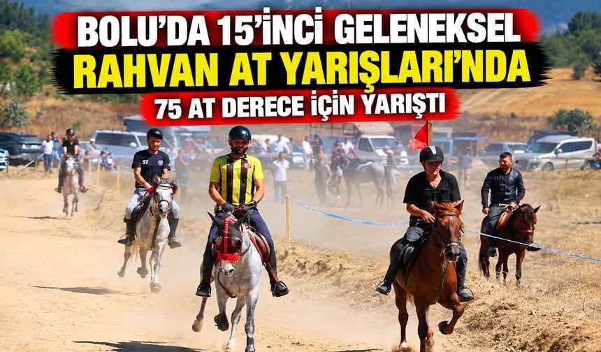 Bolu'da 15'inci geleneksel Rahvan At Yarışları'nda 75 at derece için yarıştı