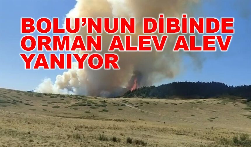 Bolu yakınlarında orman yangını