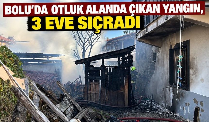 Bolu’da otluk alanda çıkan yangın, 3 eve sıçradı