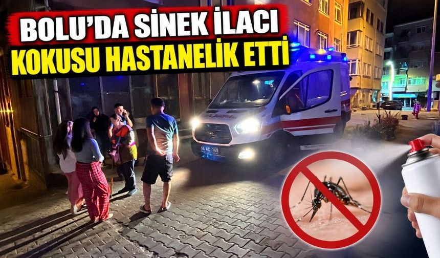 Bolu’da sinek ilacı kokusu hastanelik etti