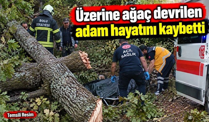 Üzerine ağaç devrilen adam hayatını kaybetti