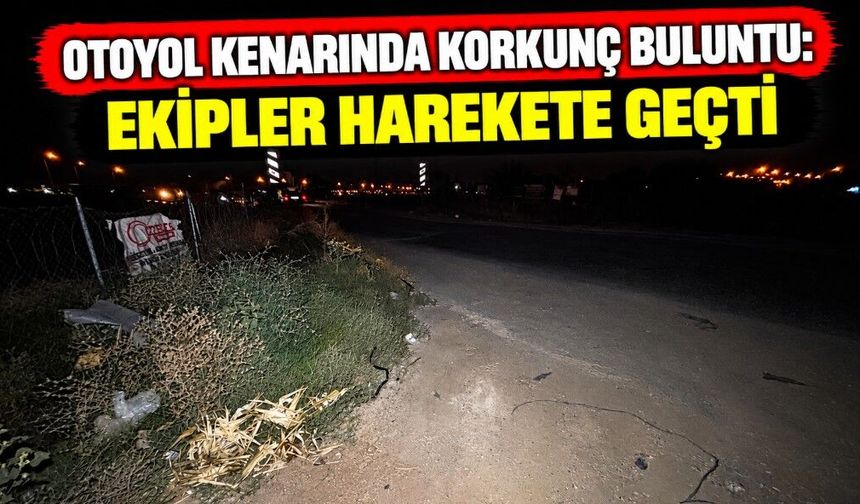 Otoyol Kenarında Korkunç Buluntu: Ekipler Harekete Geçti