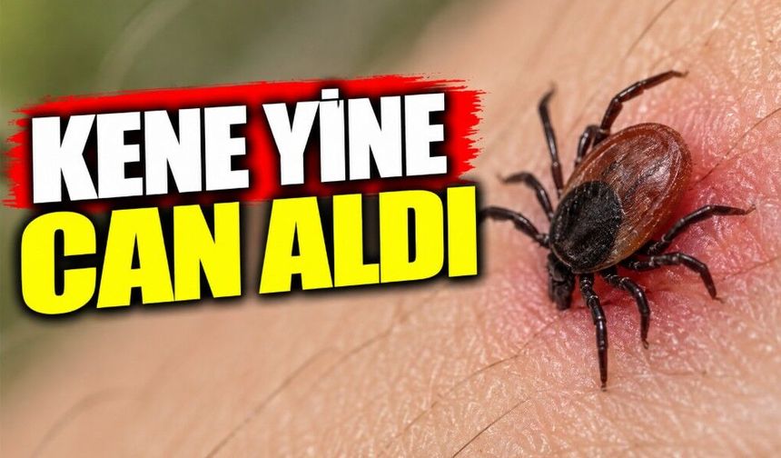 Kene yine can aldı