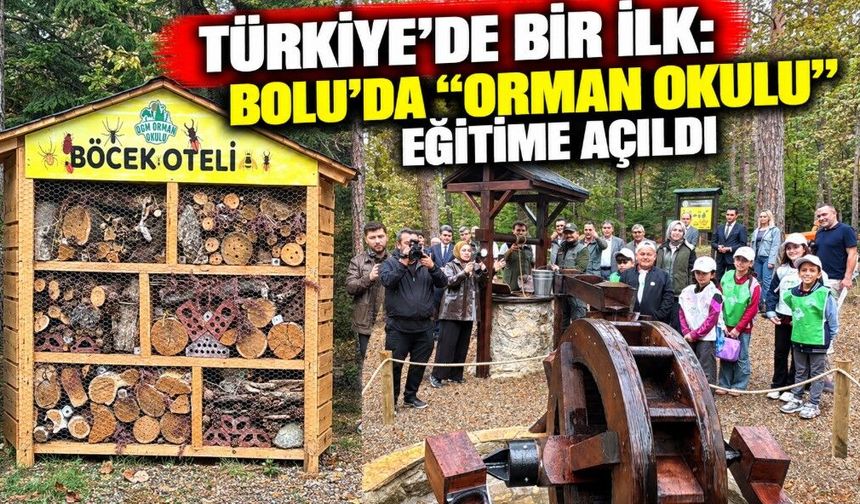 Türkiye'de bir ilk: Bolu'da "Orman Okulu" eğitime açıldı