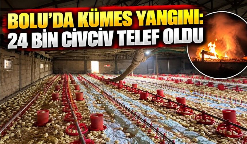 Bolu'da kümes yangını: 24 bin civciv telef oldu