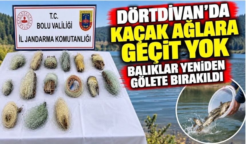 Dörtdivan’da Kaçak Ağlara Geçit Yok: Balıklar Yeniden Gölete Bırakıldı