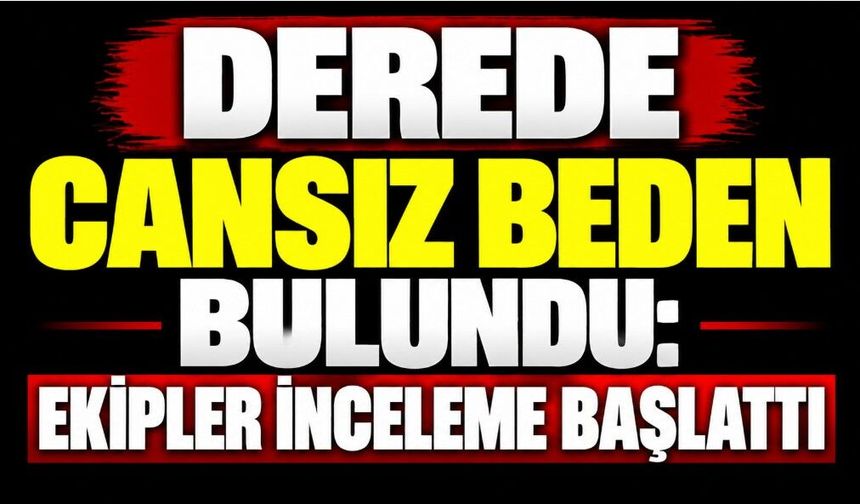 Derede Cansız Beden Bulundu: Ekipler İnceleme Başlattı