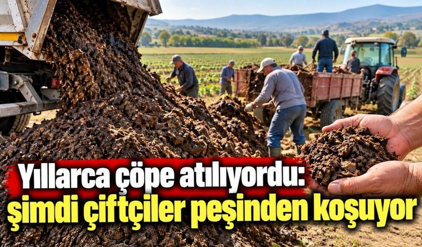 Yıllarca çöpe atılıyordu: şimdi çiftçiler peşinden koşuyor