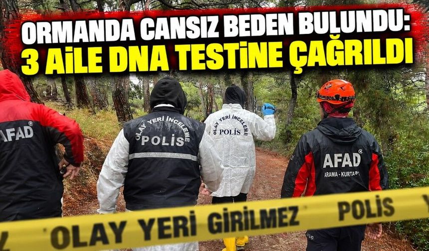 Ormanı’nda Cansız Beden Bulundu: 3 Aile DNA Testine Çağrıldı
