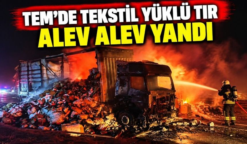 TEM'de tekstil yüklü tır alev alev yandı
