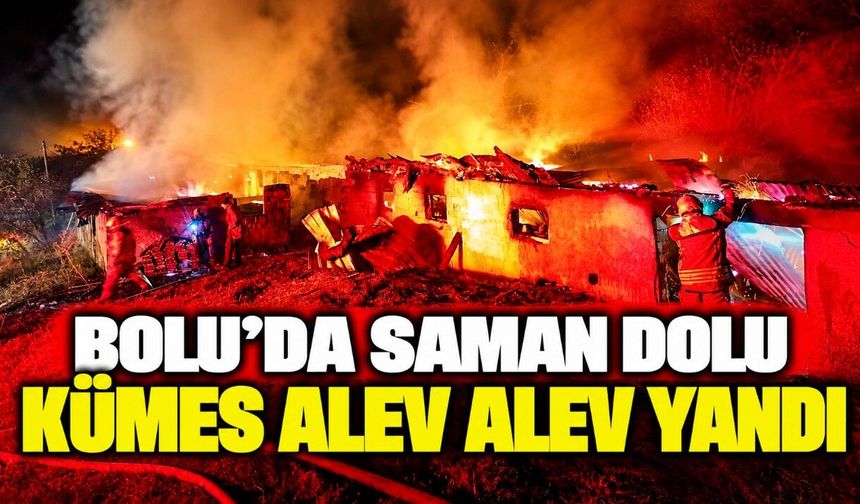 Bolu'da saman dolu kümes alev alev yandı