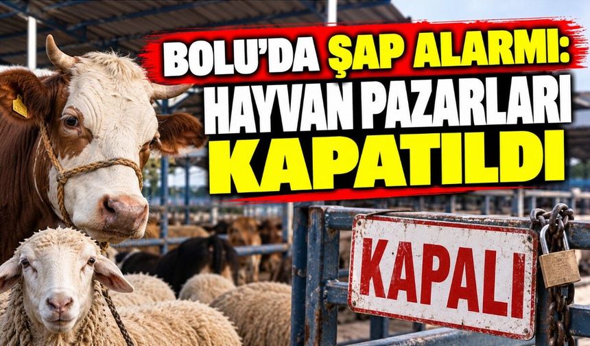 Bolu’da Şap Alarmı: Hayvan Pazarları Kapatıldı