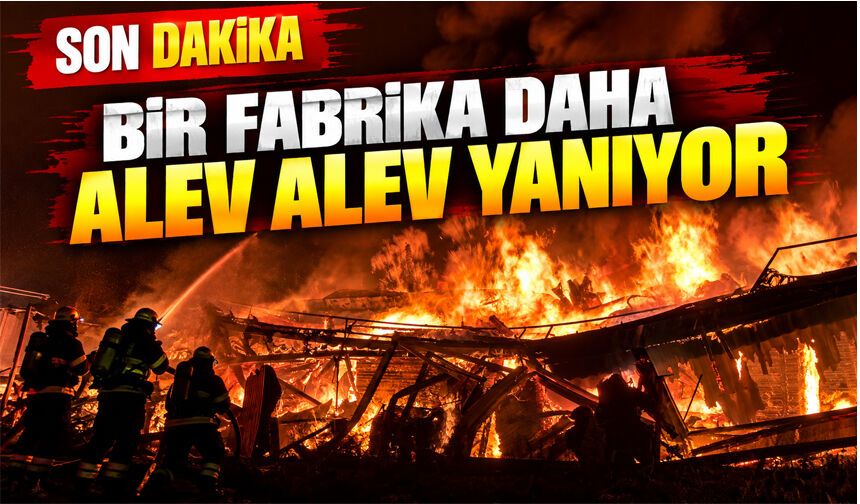 Kapı fabrikası alev alev yanıyor