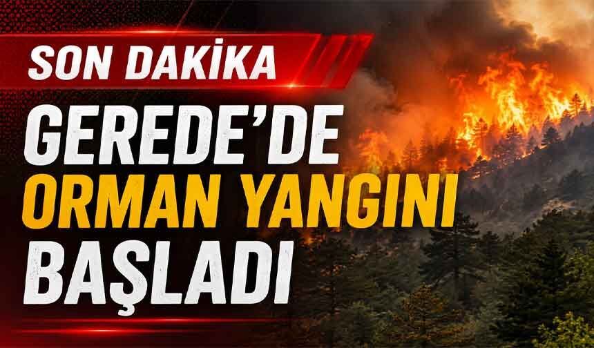 Gerede'de orman yangını başladı