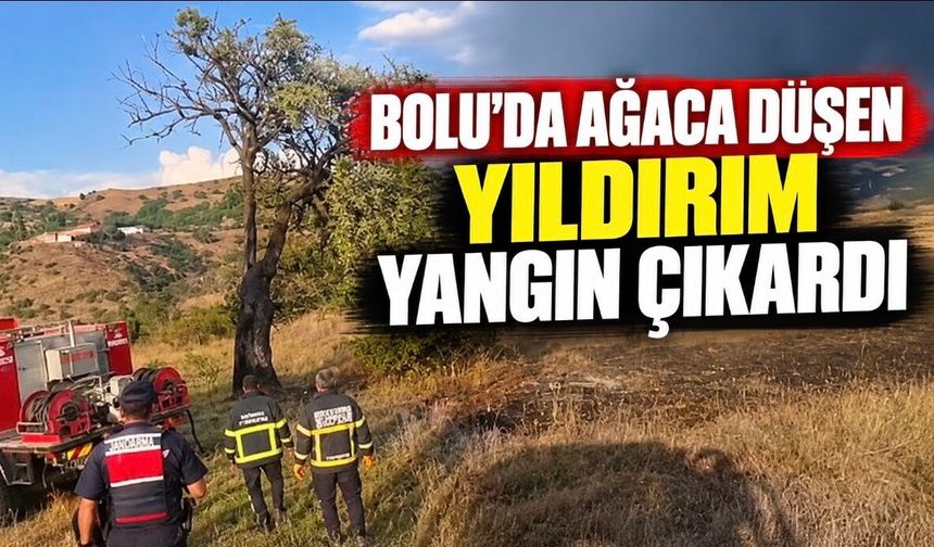 Bolu’da ağaca düşen yıldırım yangın çıkardı