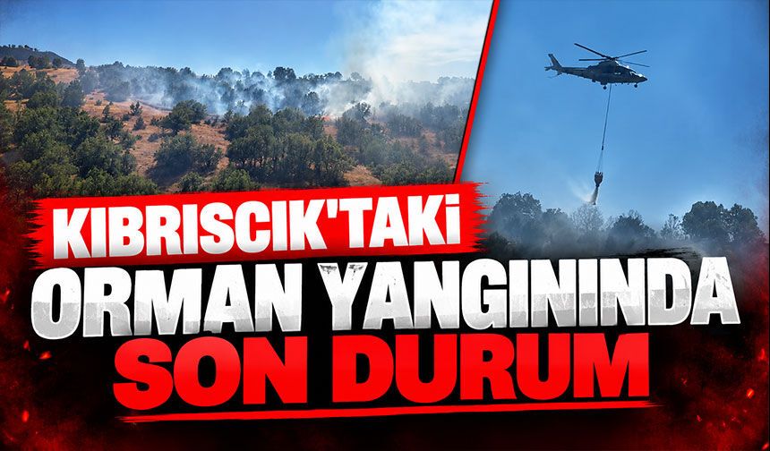 Kıbrıscık'taki orman yangınında son durum