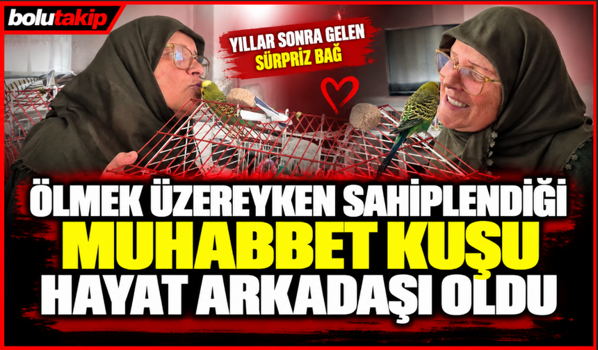 Ölmek üzereyken sahiplendiği muhabbet kuşu hayat arkadaşı oldu