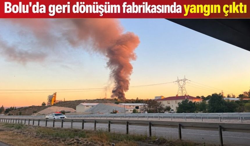 Bolu'da geri dönüşüm fabrikasında yangın çıktı