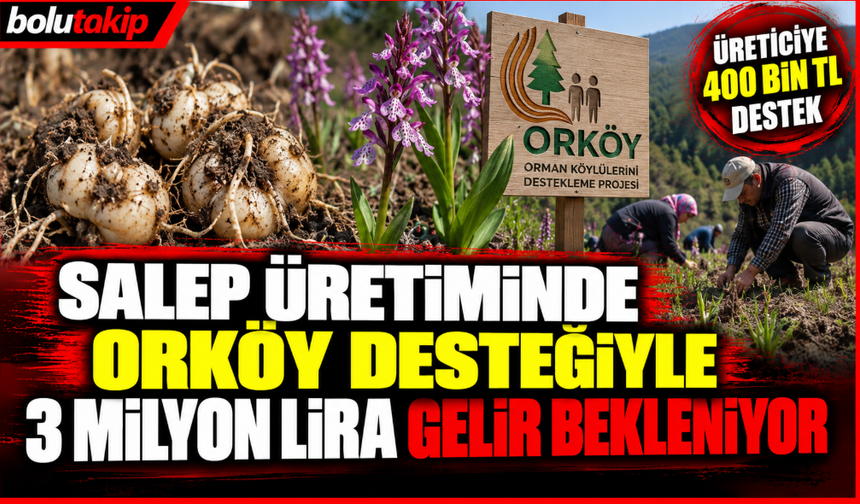 Salep üretiminde ORKÖY desteğiyle 3 milyon lira gelir bekleniyor