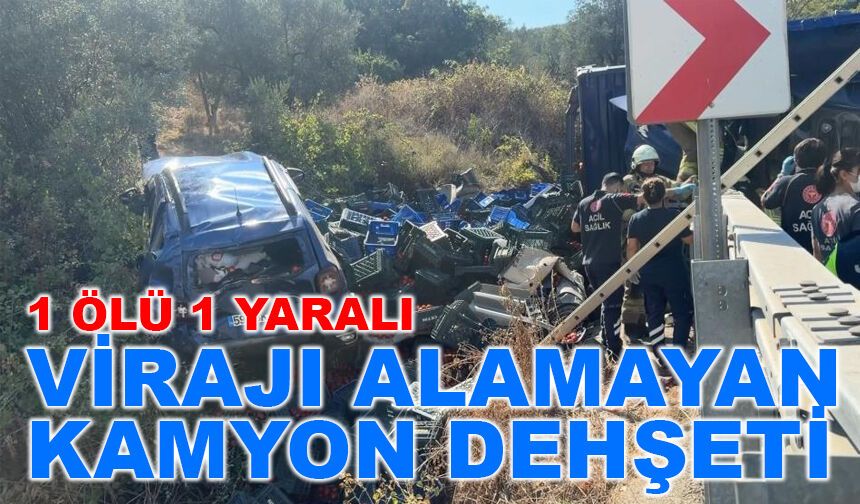 Virajı alamayan kamyon kaza yaptı