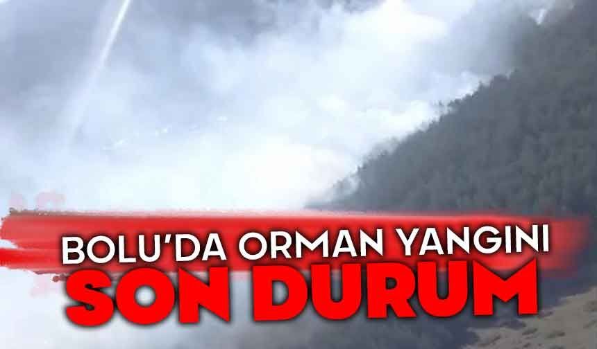 Bolu'da orman yangını son durum