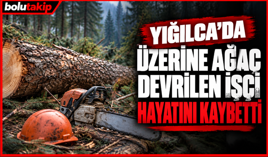 Yığılca'da acı olay: Üzerine ağaç devrilen işçi yaşamını yitirdi