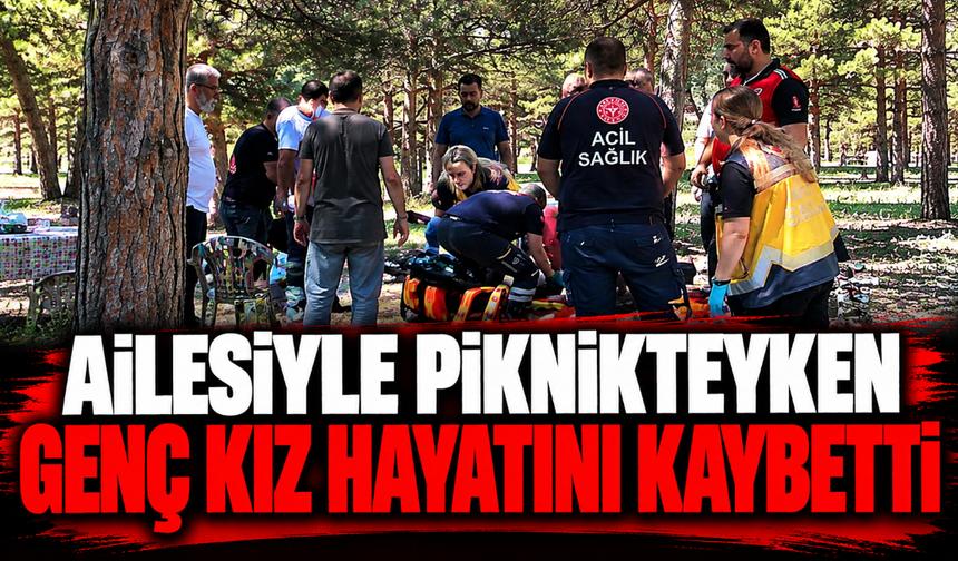 Ailesiyle piknikteyken genç kız hayatını kaybetti