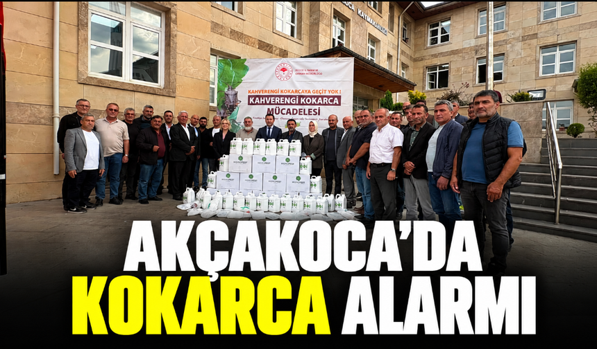 Akçakoca'da kokarca alarmı
