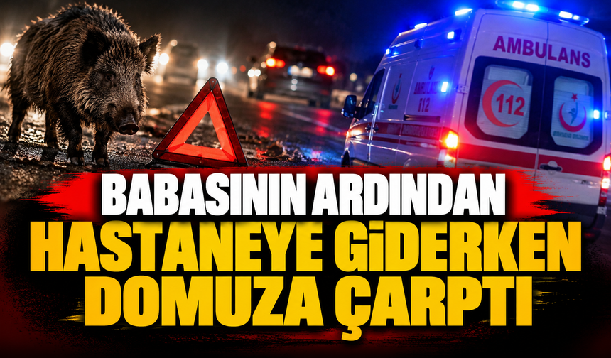 Babasının ardından hastaneye giderken domuza çarptı