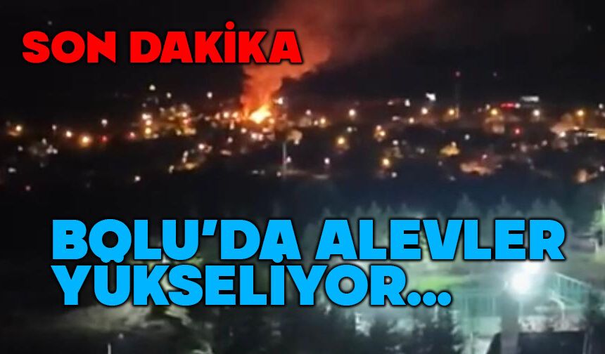 Bolu'da ev yangını alevler yükseldi